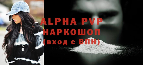 гашик Верея