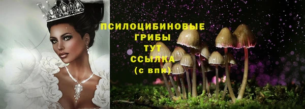гашик Пролетарск